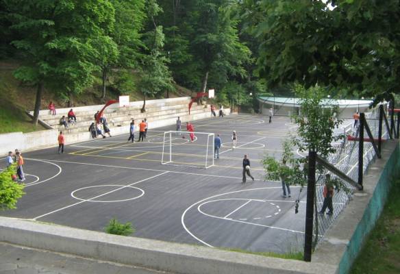 basket basket