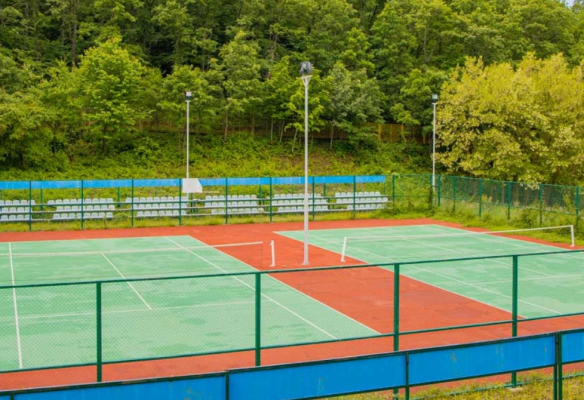 tenis tenis